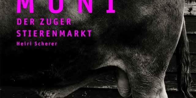 126 Jahre Zuger Stierenmarkt gibt es jetzt auch in Buchform (Bild Verlag Neue Zürcher Zeitung)