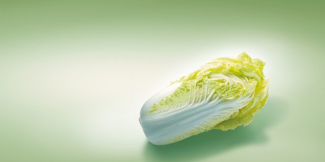 In der Schweiz werden rund 150 Hektaren Chinakohl gepflanzt. (Bild: VSGP/zVg)