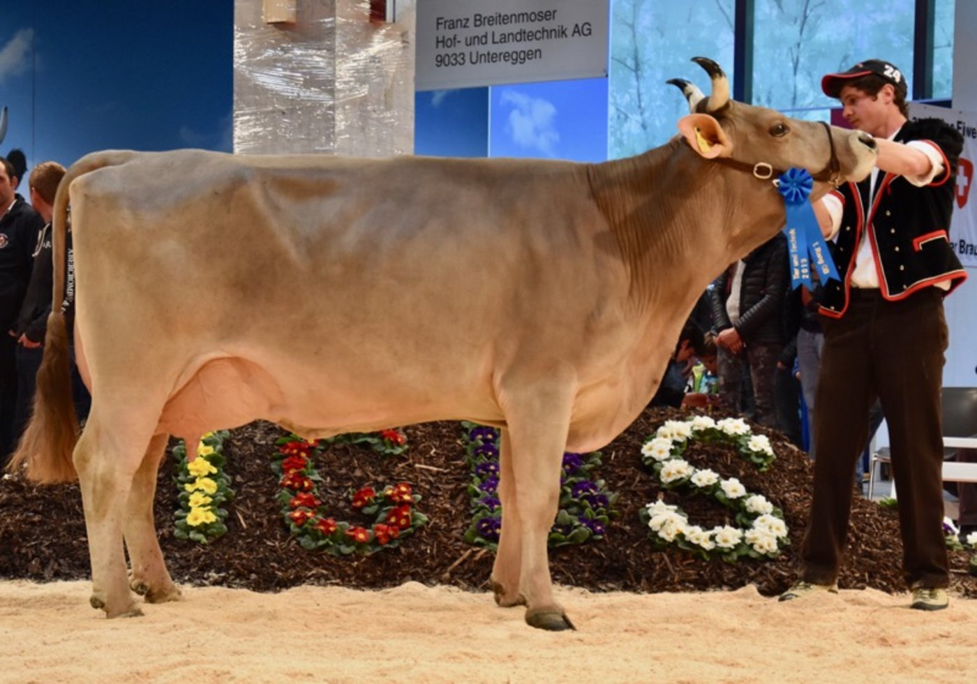 Die 3. Abteilung konnte AHof-ob William Poldi von Andreas Anderegg-Walther aus Schattenhalb BE gewinnen. 