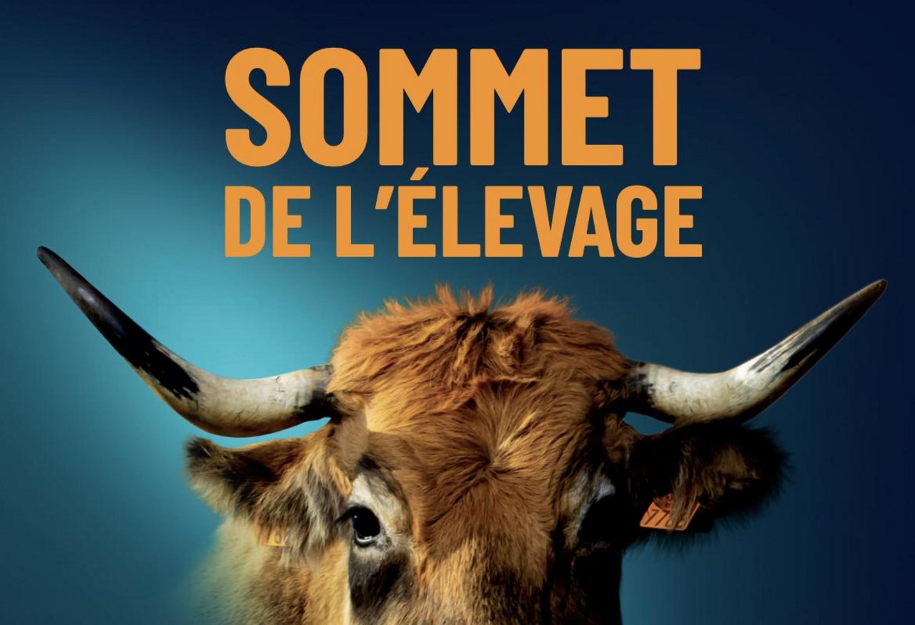 Der Sommet de l'élévage wird als die Nummer-1-Viehausstellung Europas angepriesen und konnte 2019 rund 96'000 Besucherinnen und Besucher verzeichnen. (Bild Sommet de l'élévage)