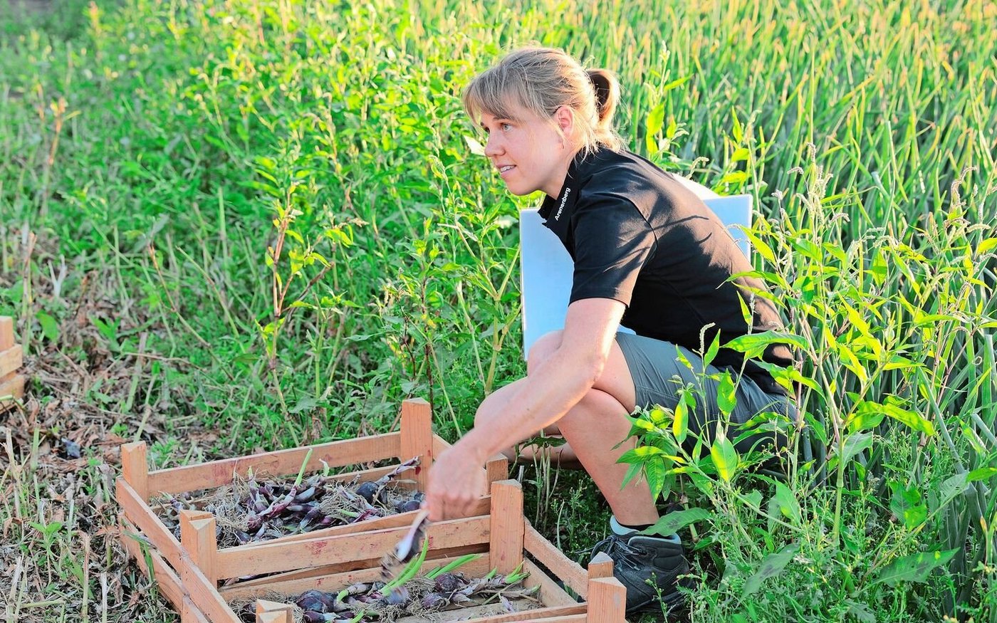 Andrea Marti stellt die Probeernte vor.