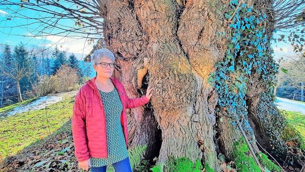 Doris Brönnimann mit Doris Brönnimann mit einer über 300-jährigen Linde, die auf dem Hof steht. «Die Linde war vor uns allen da», sagt die 60-Jährige. Der Betrieb wird seit zwei Jahren von ihrem Sohn und dessen Partnerin bewirtschaftet.