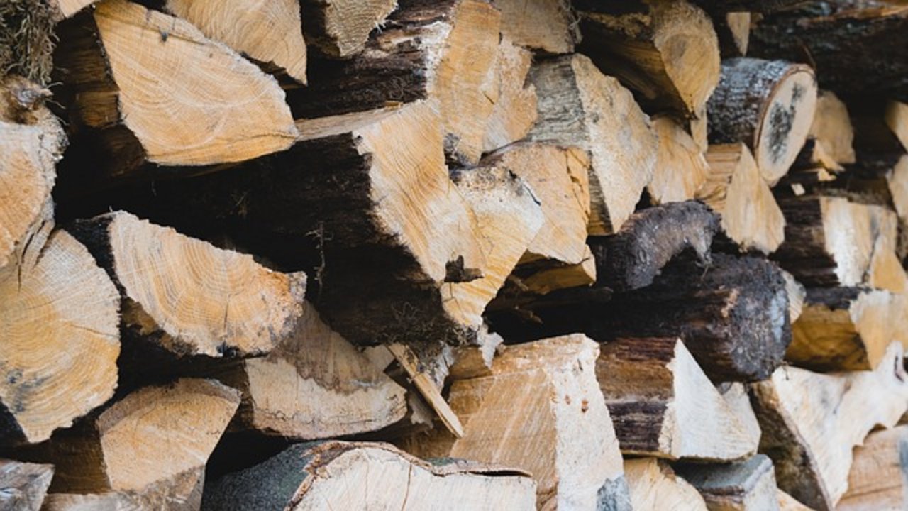 Der Förster, der illegal Holz verkauft haben soll, wurde vorübergehend von seiner Tätigkeit freigestellt. (Symbolbild Pixabay)