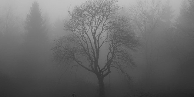 Wenn einem die Decke auf den Kopf fällt, können die Notfall-Karten des Inforama helfen. (Bild Pixabay)