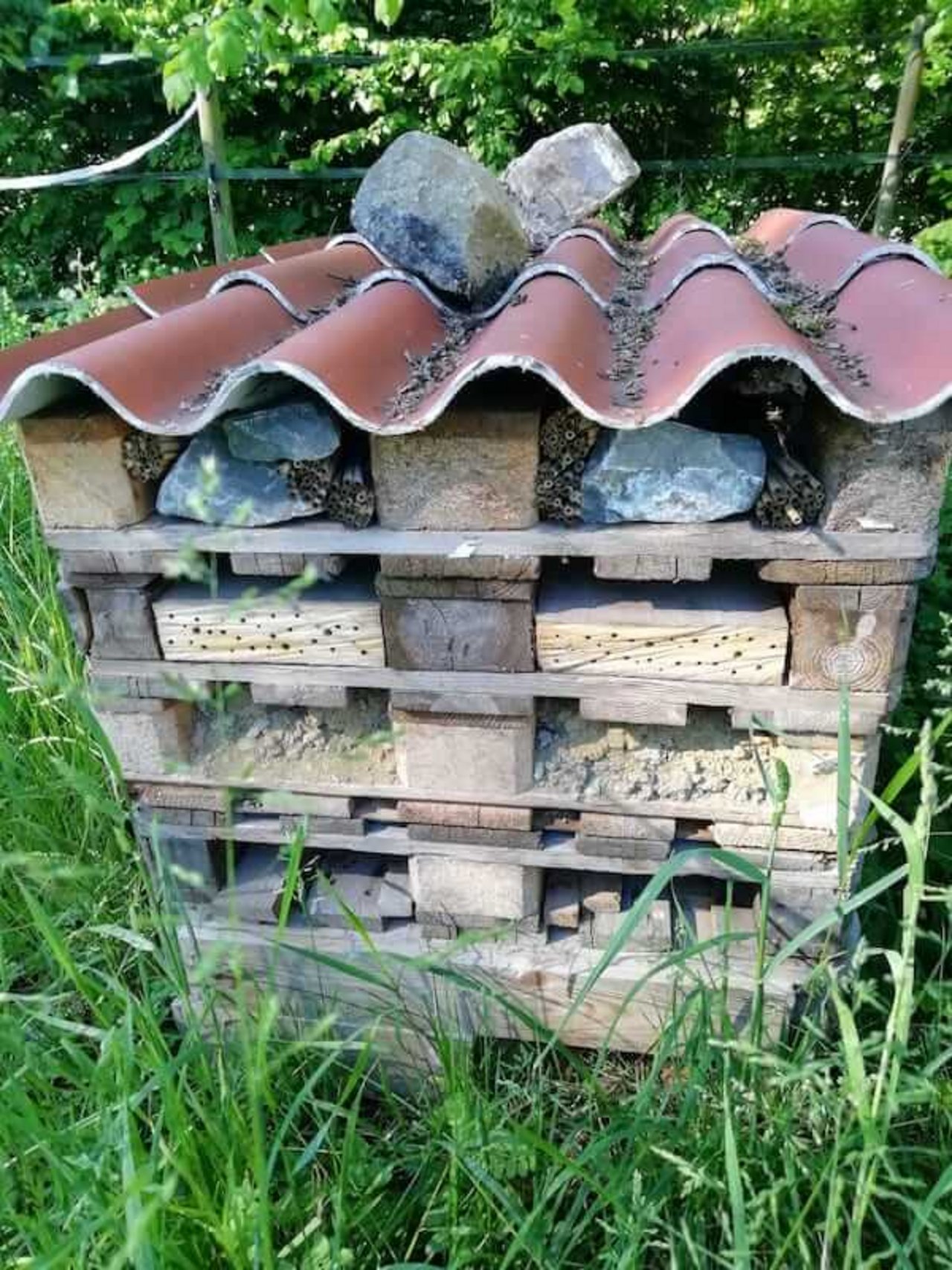 Ein Biodiversitätshotel mit Nisthilfen für Wildbienen und Igelschlupf bietet zusätzlichen Lebensraum. (Bild zVg)