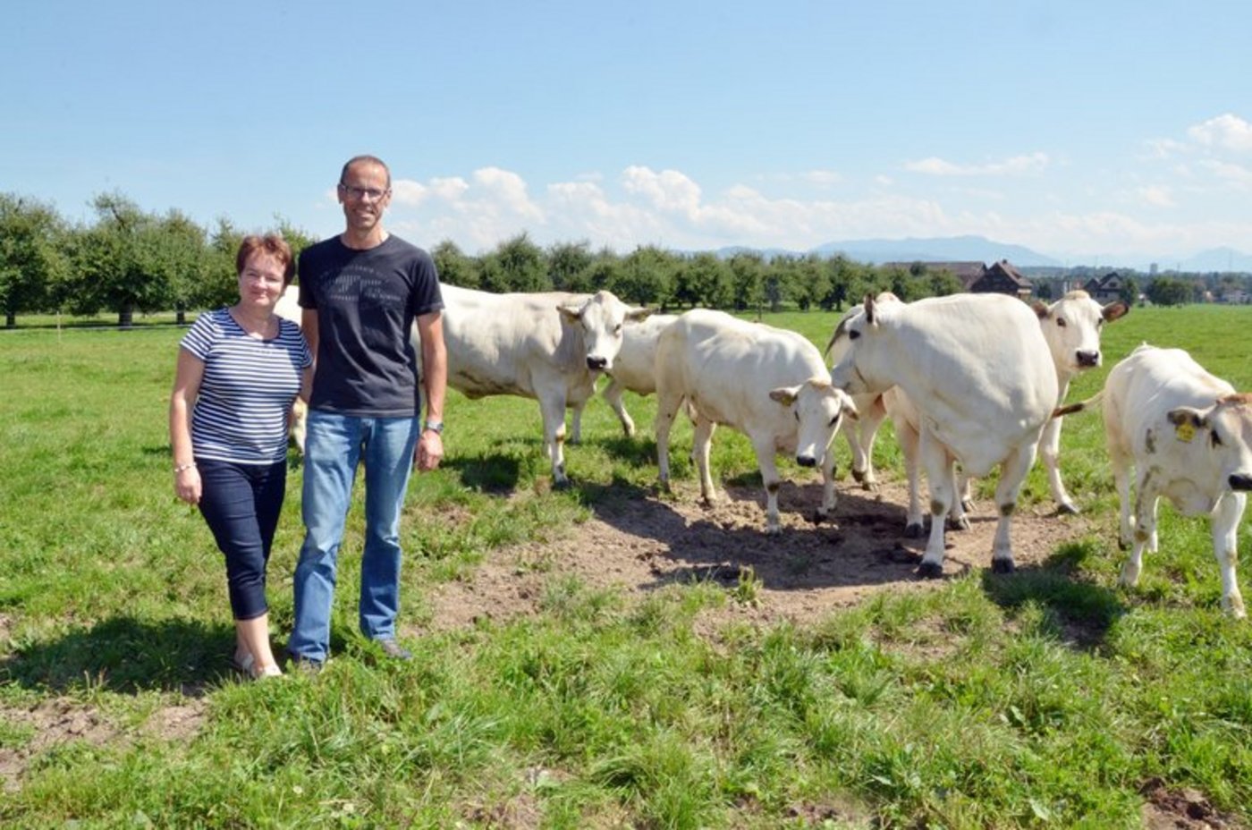 Der Betrieb von Xaver und Isabelle Amgwerd im Reusstal ist dabei, auf Bio umzustellen. (Bild Franziska Hämmerli/Fibl)