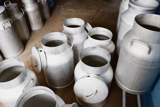 Der Milchmarkt ist für viele undurchsichtiger denn je, auch der steigende Importdruck bereitet Sorgen Die Milchkannen bleiben leer: In der Schweiz gibt es immer wie weniger Milchbauern. (Bild Ruth Aerni)