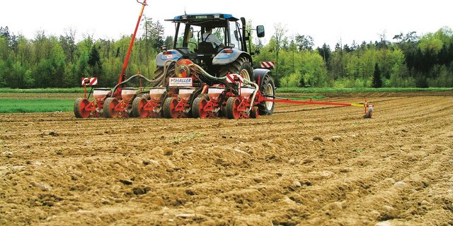 Die Maisaussaat sollte ab Mitte April bis Mitte Mai stattfinden, wenn der Boden zwischen 7 und 8°C warm ist. Eine Aussaat davor verzögert nur das Auflaufen. (Bild zVg)