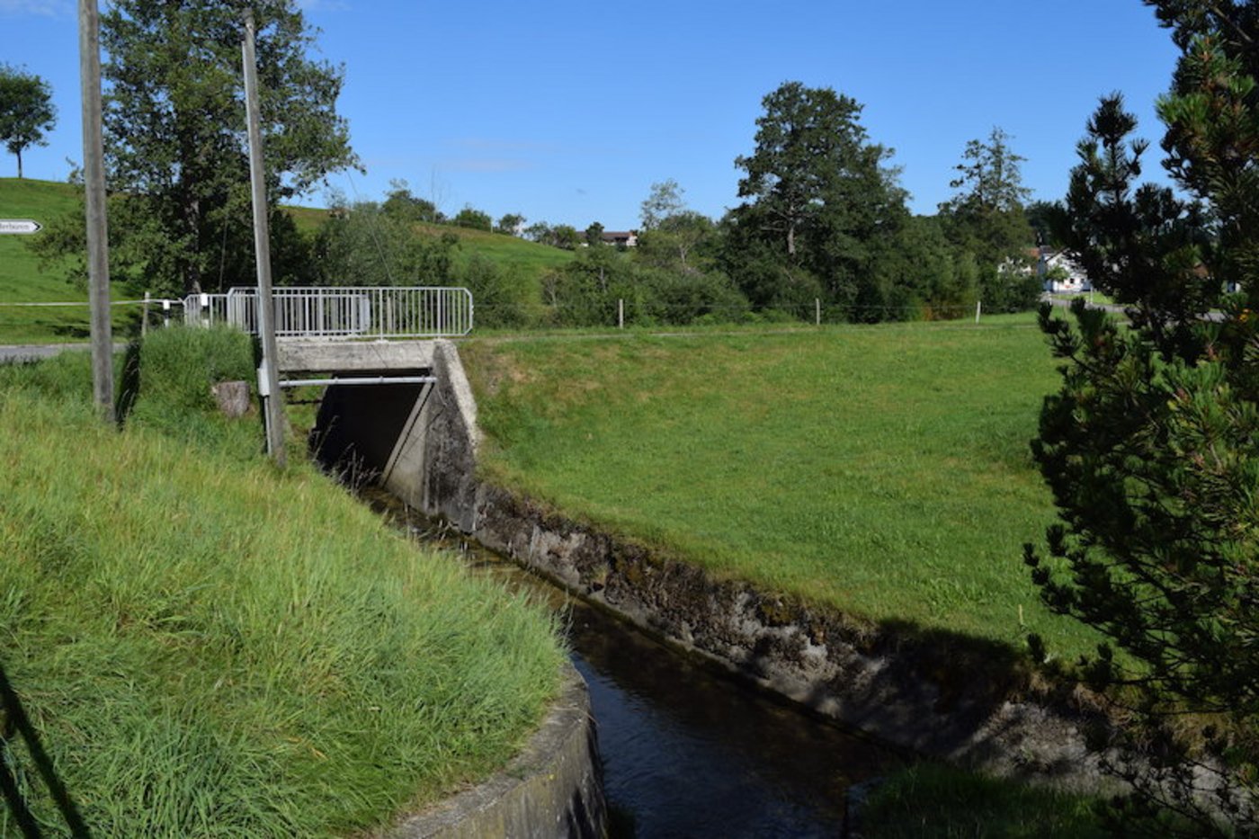 Der Albertswilerbach bei Gossau war ein Bach, der zu stark mit Pflanzenschutzmitteln belastet war. (Bilder Stefanie Giger)