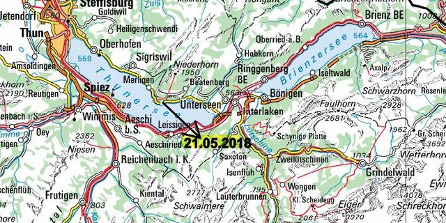 Der Bär wurde am rechten Thunerseeufer gesichtet - und ist wieder abgetaucht. (Screenshot Google Maps)