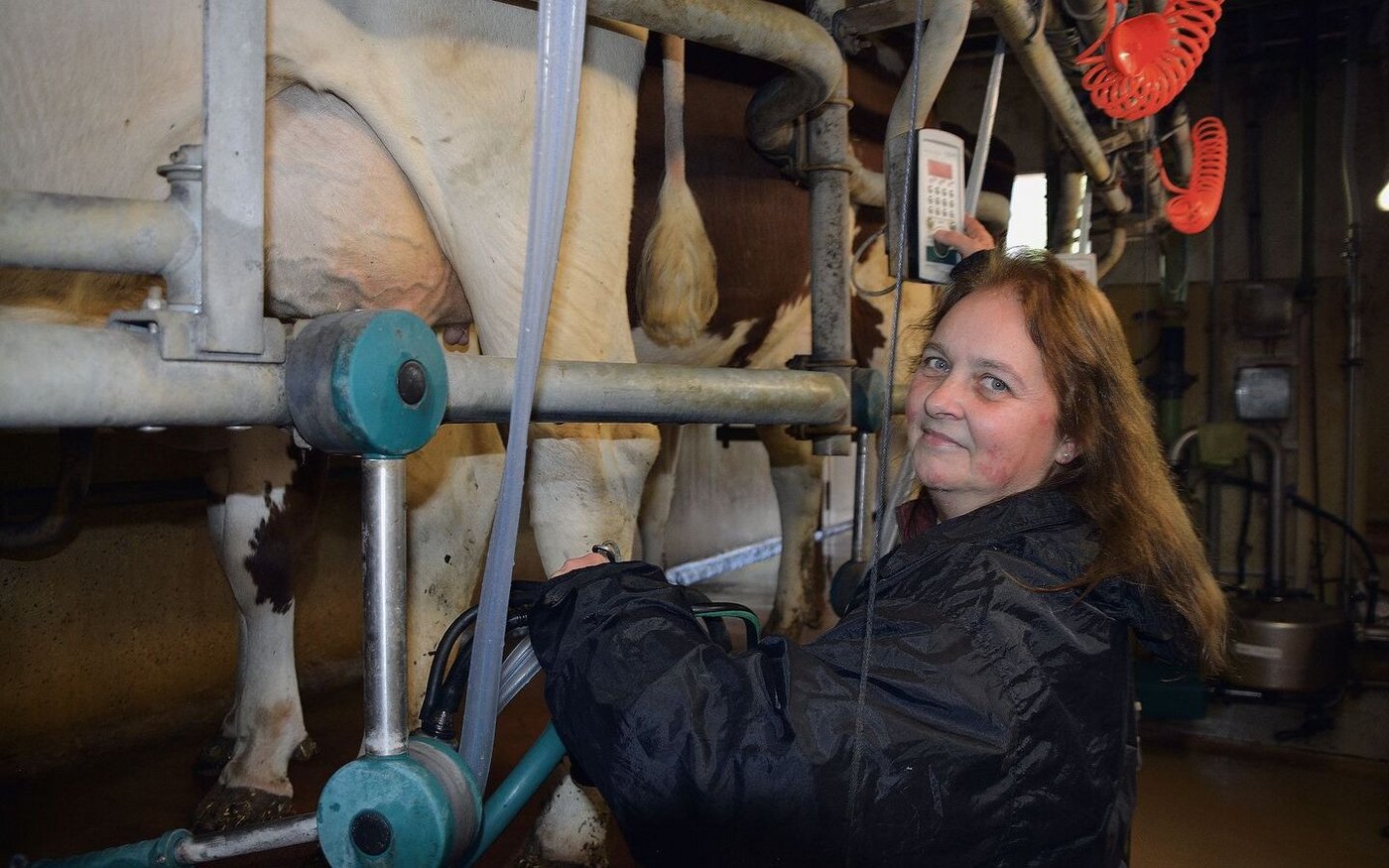 Lieblingsarbeit: Morgens und abends kümmert sich Esther Geiser um das Melken der 38 RH-Kühe.
