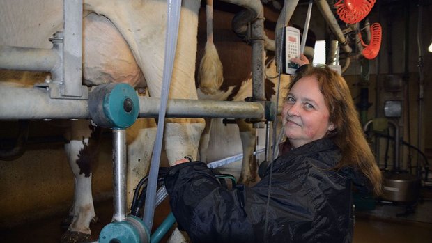 Lieblingsarbeit: Morgens und abends kümmert sich Esther Geiser um das Melken der 38 RH-Kühe.