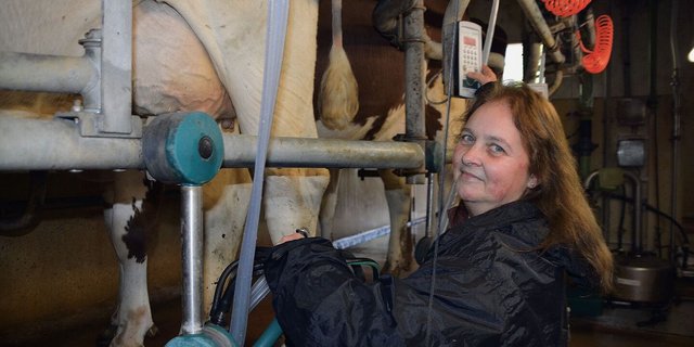 Lieblingsarbeit: Morgens und abends kümmert sich Esther Geiser um das Melken der 38 RH-Kühe.