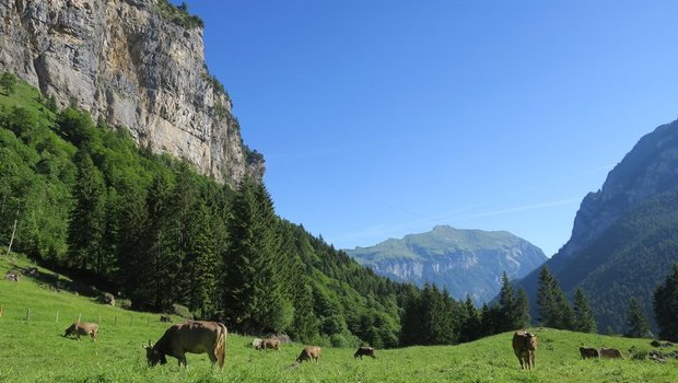 Die Stiftung Landschaftsschutz Schweiz setzt sich für die Erhaltung der Landschaft ein. (Bild Esther Thalmann)