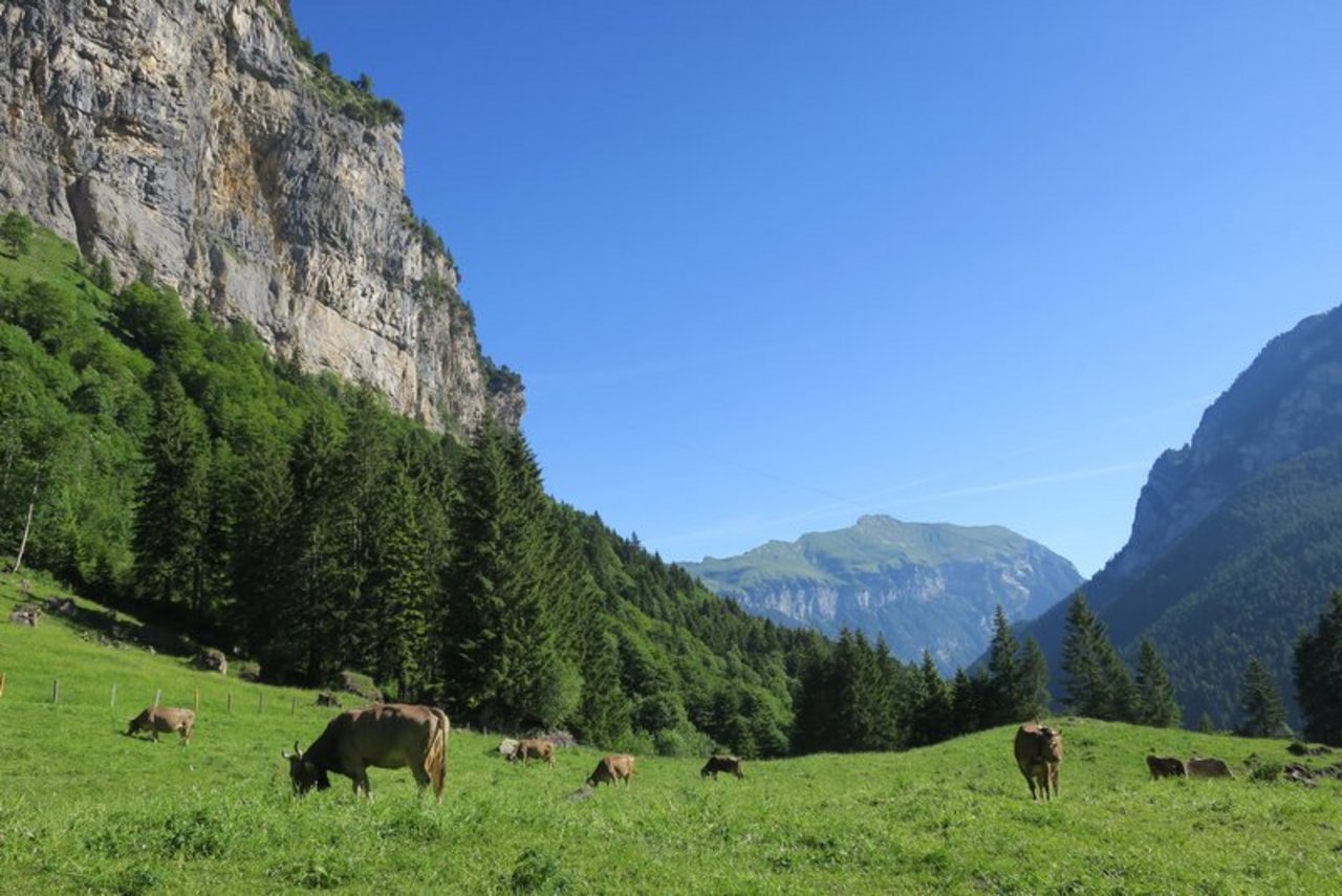 Die Stiftung Landschaftsschutz Schweiz setzt sich für die Erhaltung der Landschaft ein. (Bild Esther Thalmann)