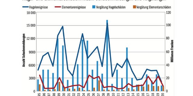 Vom 1. Juni bis 15. Juli gingen 9000 Schadenmeldungen ein. (Grafik agristat/BauZ)