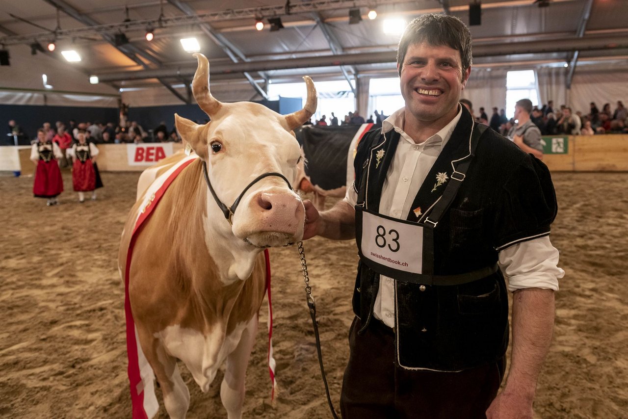 Schöne Kühe spielten schon immer eine grosse Rolle an der BEA – wie die Schweizer Landwirtschaft allgemein. (Bild BEA)