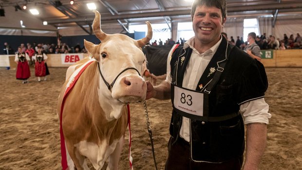 Schöne Kühe spielten schon immer eine grosse Rolle an der BEA – wie die Schweizer Landwirtschaft allgemein. (Bild BEA)