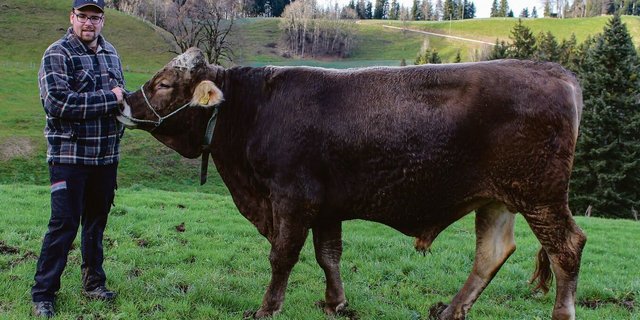 Der Entlebucher Thomas Müller mit seinem KB-Stier «Einfach» im Dezember 2022.