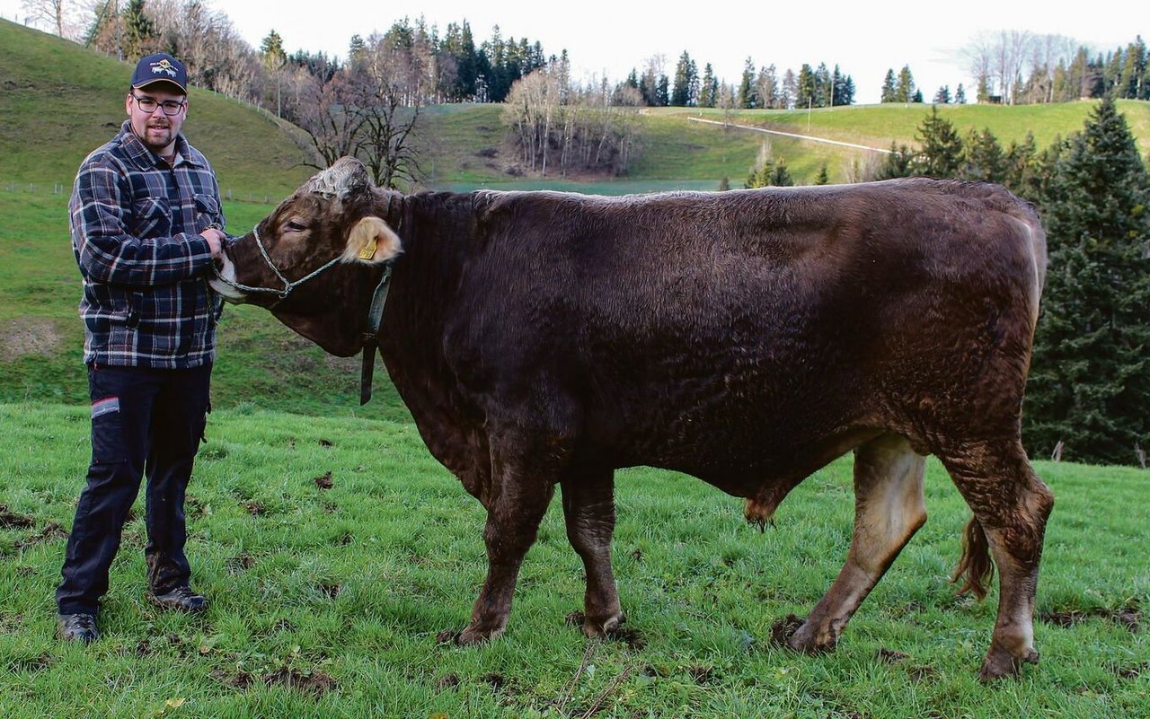 Der Entlebucher Thomas Müller mit seinem KB-Stier «Einfach» im Dezember 2022.