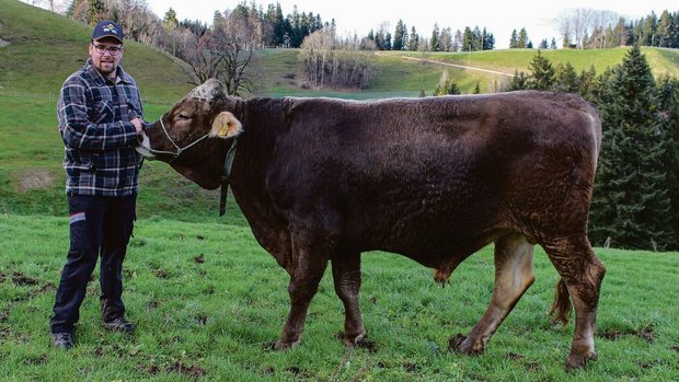 Der Entlebucher Thom Der Entlebucher Thomas Müller mit seinem KB-Stier «Einfach» im Dezember 2022.
