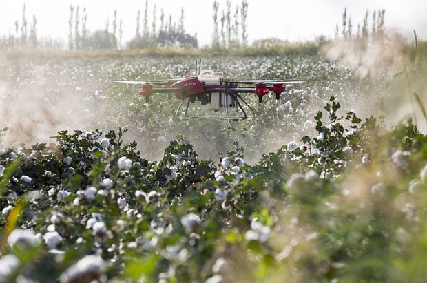 Drohnen können den Einsatz von Pestiziden verringern. (Bild Pixabay)