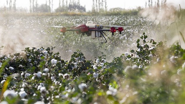 Drohnen können den Einsatz von Pestiziden verringern. (Bild Pixabay)