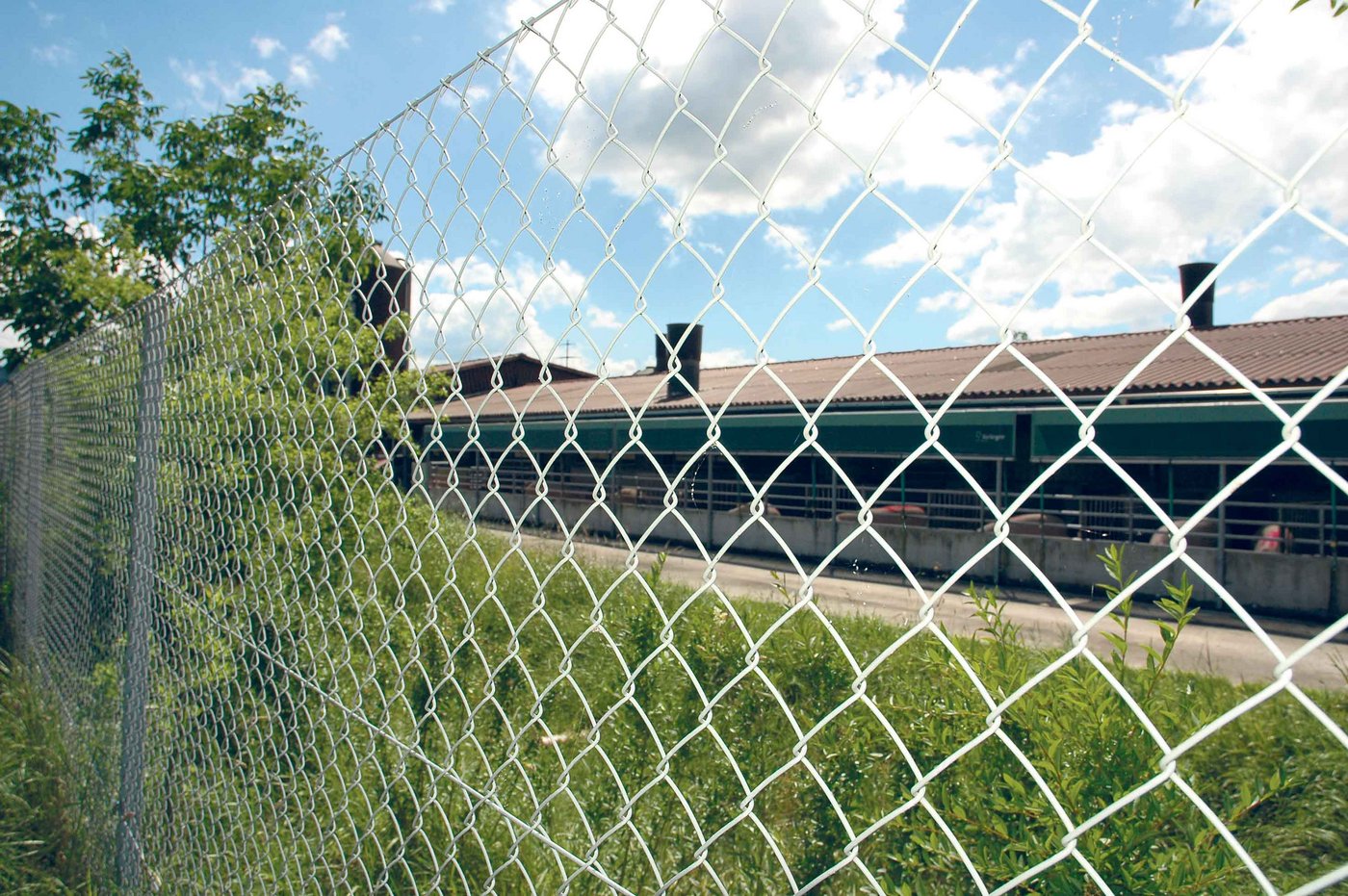 Dieser Betrieb im luzernischen Ettiswil ging auf Nummer sicher: Ein professioneller Zaun verhindert den Kontakt zwischen den Sauen im Auslauf und allfälligem Schwarzwild. (Bild Armin Emmenegger)