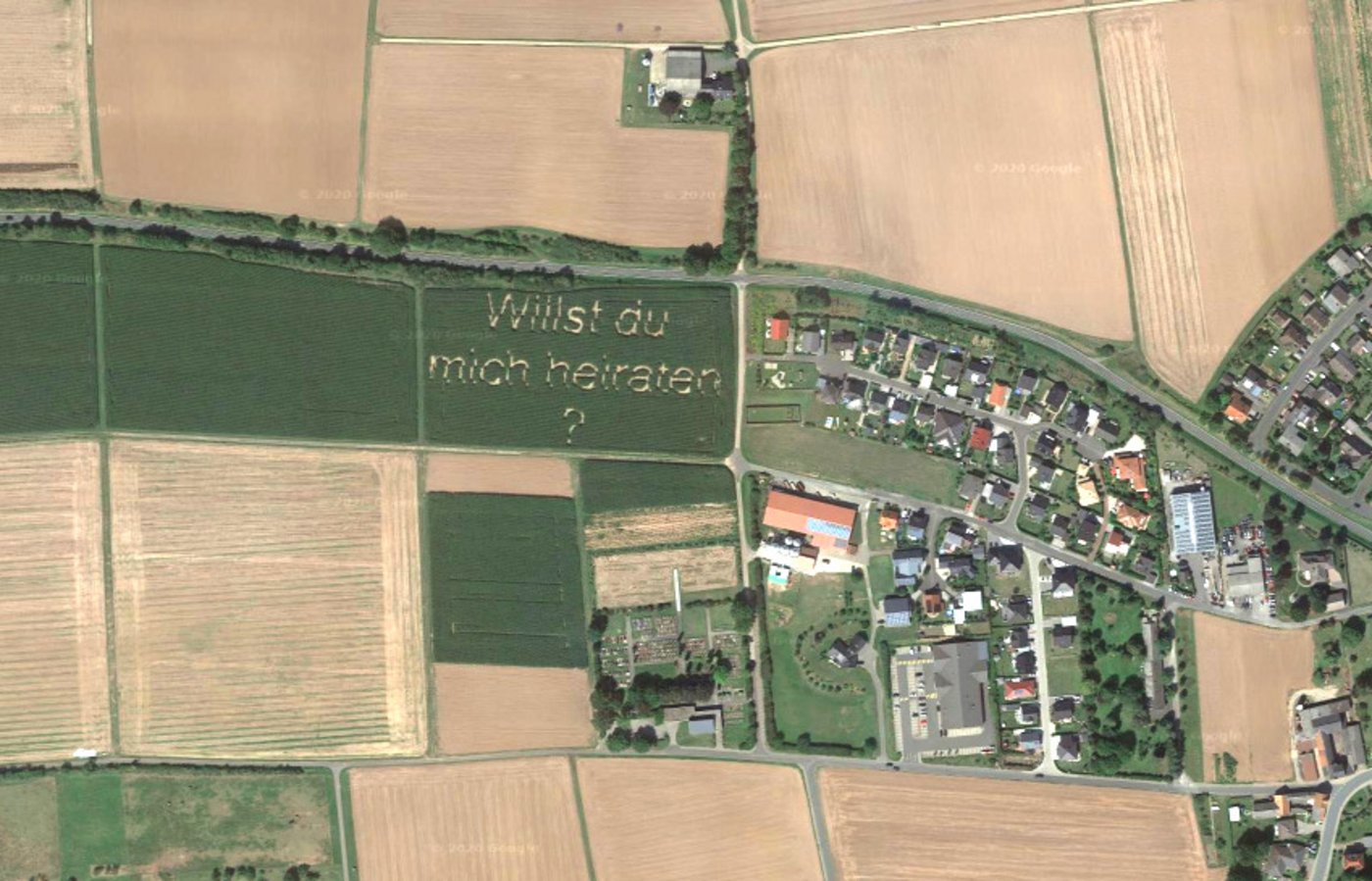 Der Heiratsantrag im Maisfeld liegt östlich des deutschen Ortes Hörnsheim.