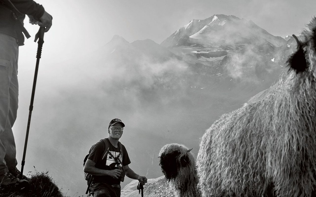 Rici und sein geliebtes Schwarznasenschaf, 2600 Meter über Meer.