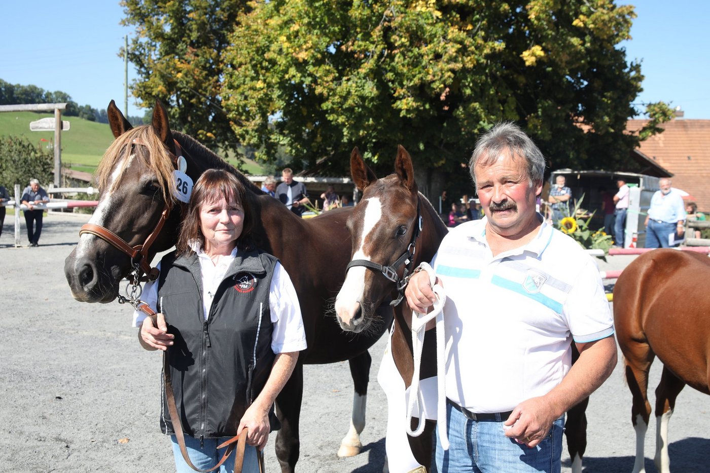 Finja  von Hans und Kathrin Wüthrich gewinnt die Fohlenschau im Bernischen Riggisberg und steht nun als Elite-Fohlen anlässlich der Online-Aktion zum Verkauf. (Bild Karin Rohrer)