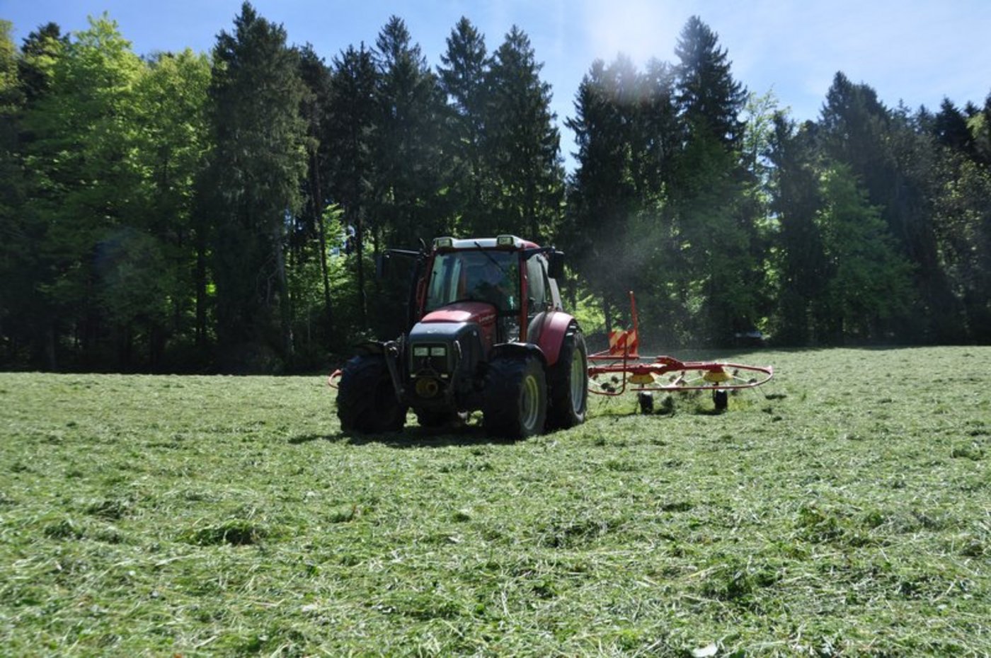 Von morgen Montag an kann wieder geheut werden. (Bild Nadine Baumgartner)