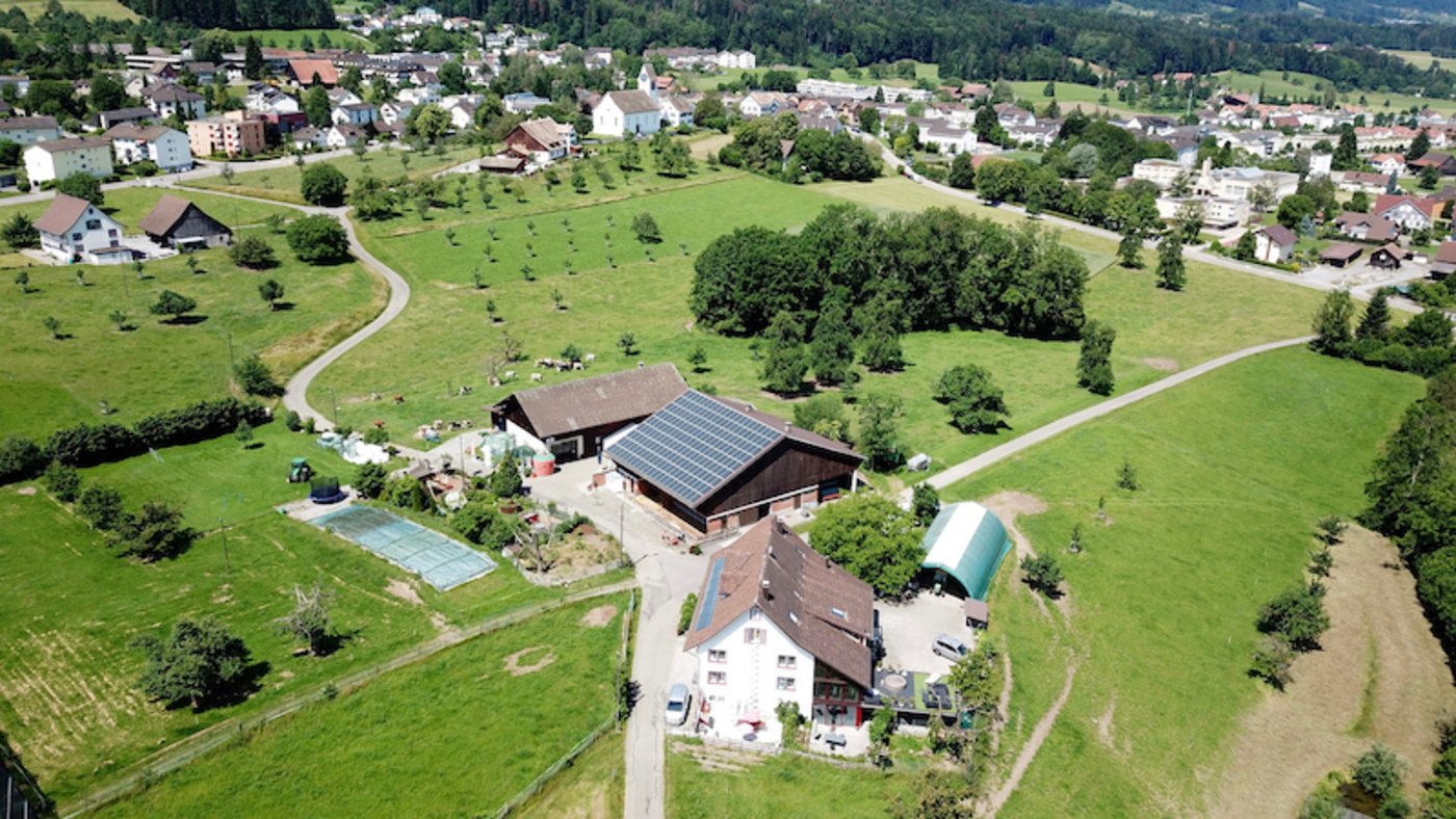 Die verschiedenen Ökoelemente auf dem Hof von Hans Nef sind nicht weit voneinander entfernt. Das bietet den Organismen einen grösseren Lebensraum. (Bild lid/cr)