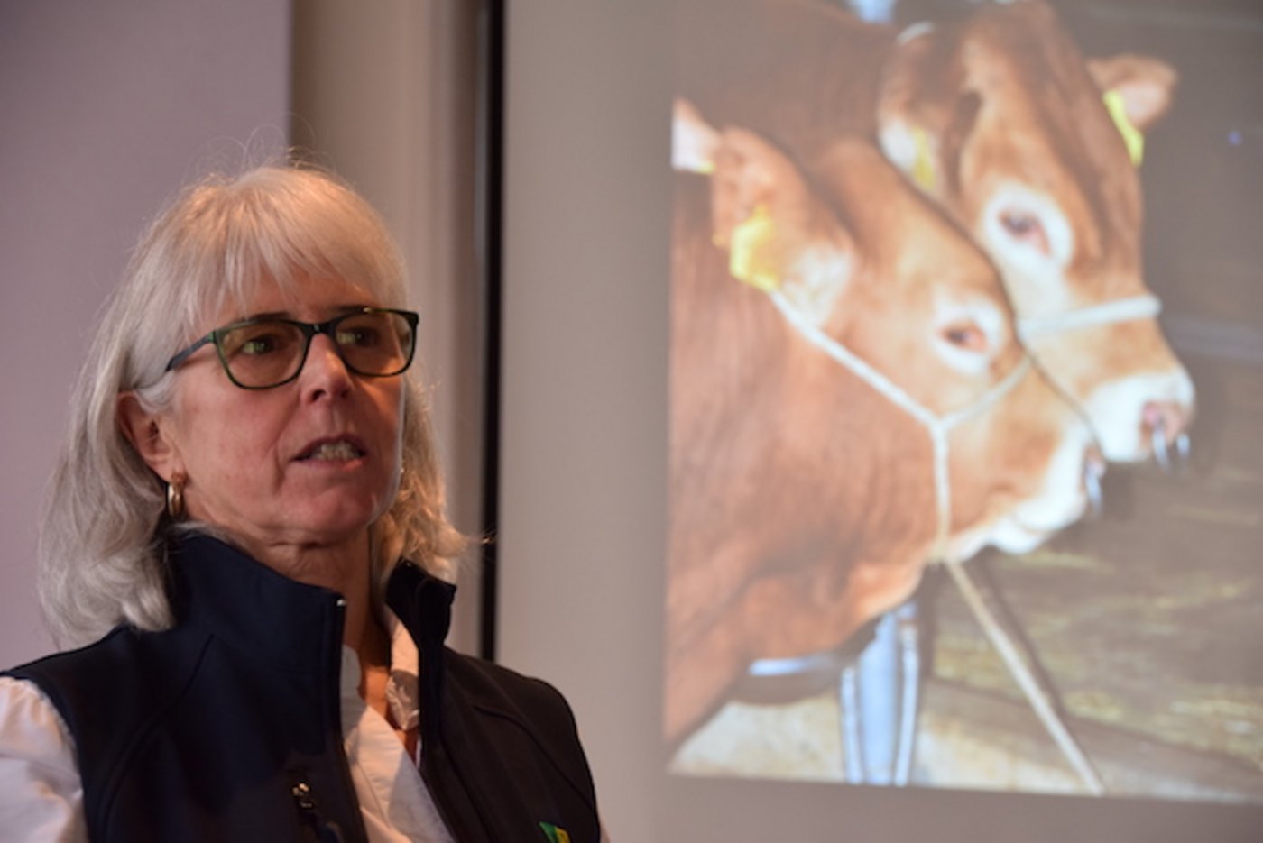 Verena Schindler, Präsidentin von Swiss Limousine führte durch die Versammlung. (Bild Peter Fankhauser)