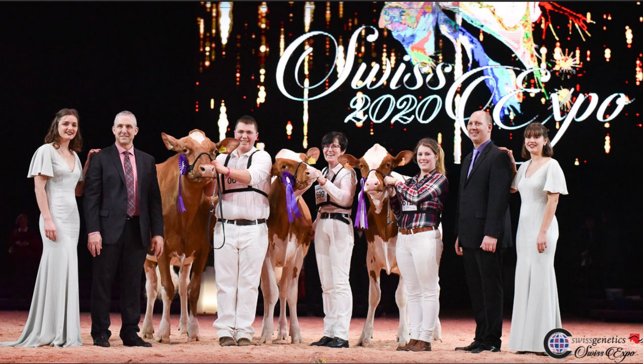 Championwahl Rinder (v. l. n. r.): Campion wurde Les Adoux Absolute Chalou von Claude Charrière aus Epagny FR; PraderGrens Army Rae Lynn von Cédric & Monique Pradervand aus Grens VD wurde Reserve und Mention Honorable wurde Riedill Osmose Red (Ammo P), von Earl Wollenburger aus Frankreich. 