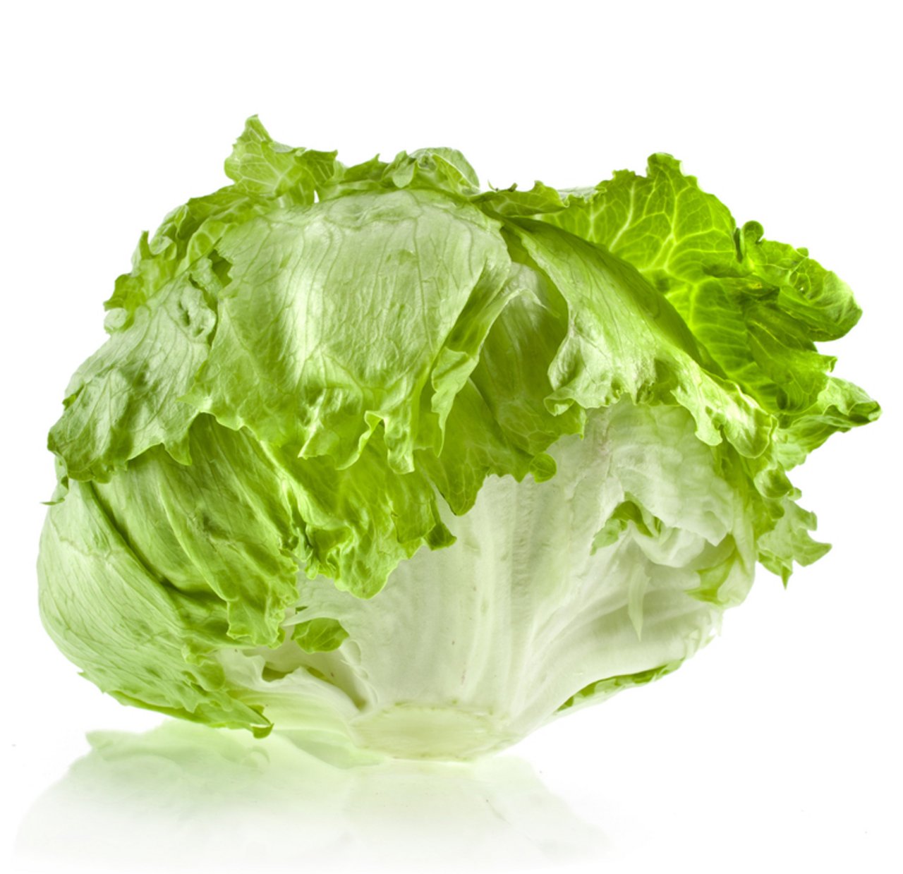 Die Nummer eins unter den Salaten: Eisbergsalat. (Bild VSGP)