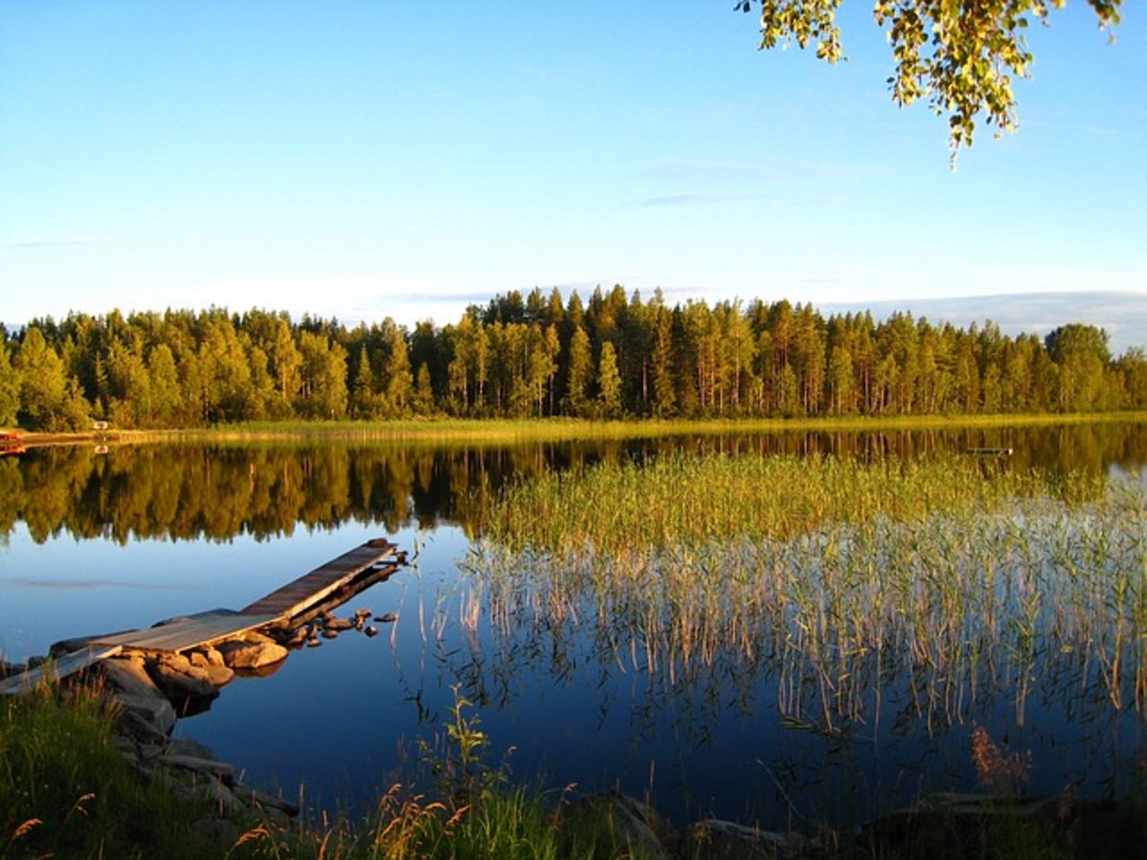 Der Anteil der schwedischen Biofläche steigt auf 18,2 %. (Bild: Pixabay)
