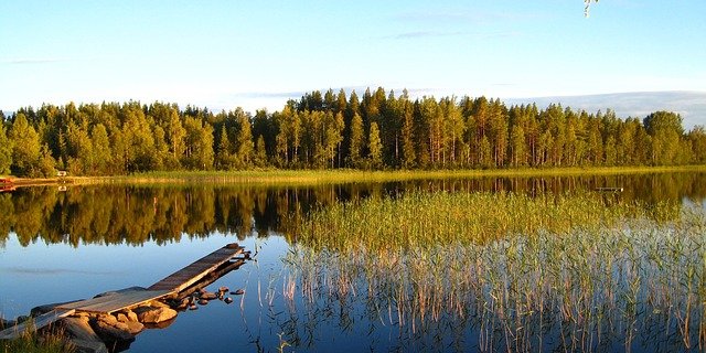 Der Anteil der schwedischen Biofläche steigt auf 18,2 %. (Bild: Pixabay)