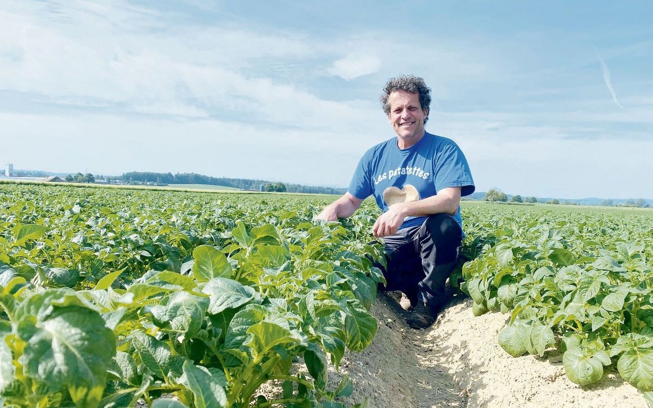 «Es wurde noch nie ein so grosser Teil der Kartoffeln so spät gepflanzt», sagt Ruedi Fischer. Trotzdem: Das Feld in Bätterkinden BE sieht gut aus.