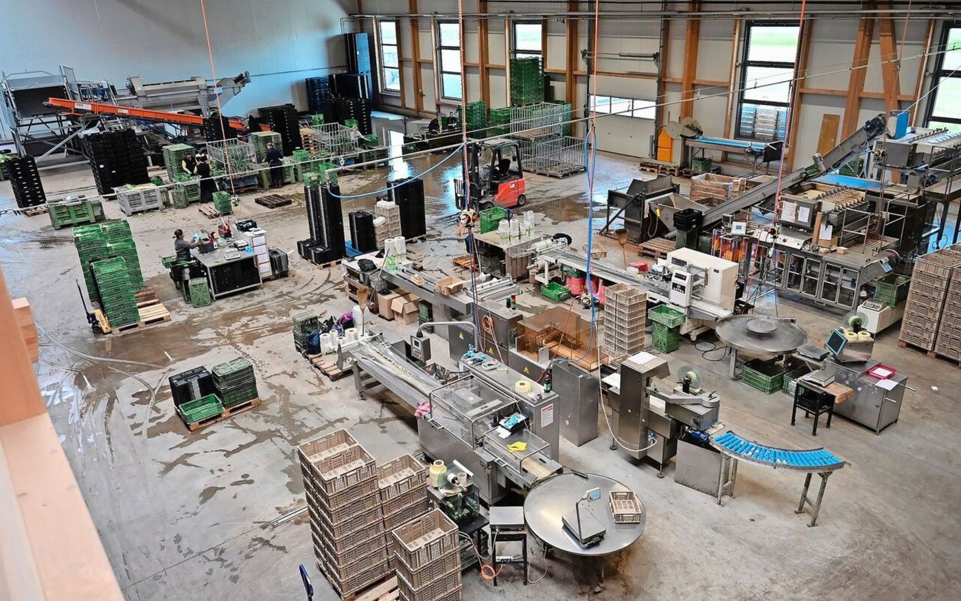 Die Aufbereitungshalle ist aus Schweizer Holz gefertigt. Für die Arbeitnehmenden biete sie in jeder Jahreszeit ein angenehmes Klima.