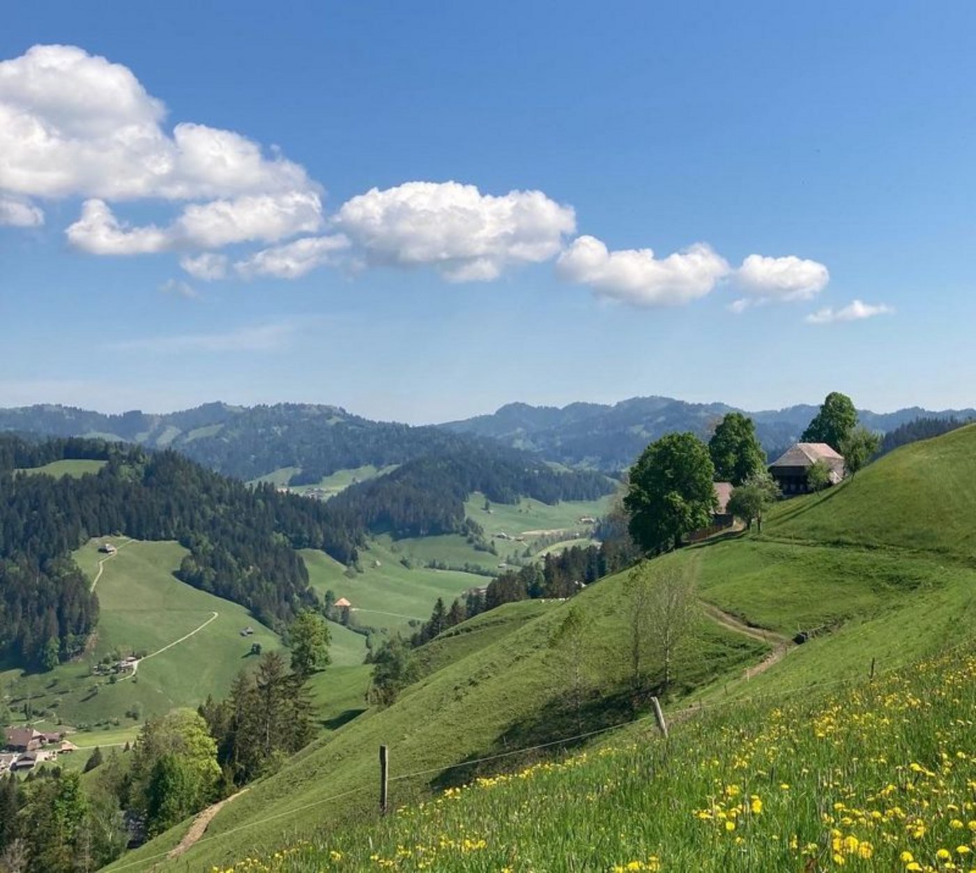 So ruhigt wie das Bild suggeriert, war die Landwirtschaft 2020 nicht. (Bild as) 