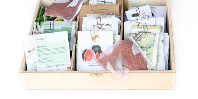 Unkrautsamen können jahrelang in feuchter Erde liegen und später trotzdem keimen. Beim Gemüsesaatgut  ist das nicht so. (Bilder ED)