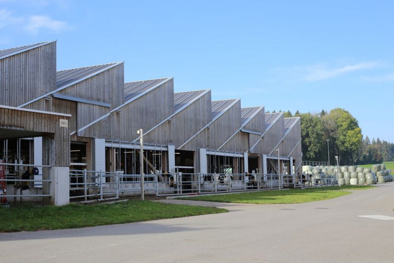 Der Agrovet-Strickhof hat 4 Standorte. Hauptstandort ist Lindau. (Bild ji)