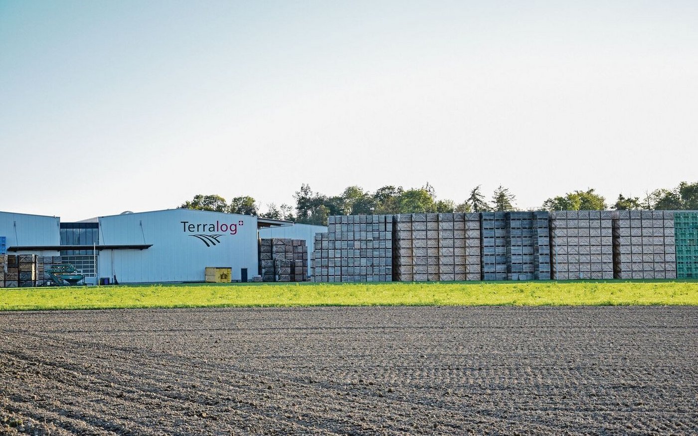 Damit bis zur nächsten Kartoffelernte einheimische Ware zur Verfügung steht, müssen die Knollen über Monate in guter Qualität gelagert werden können. Das macht z. B. die Terralog AG. 