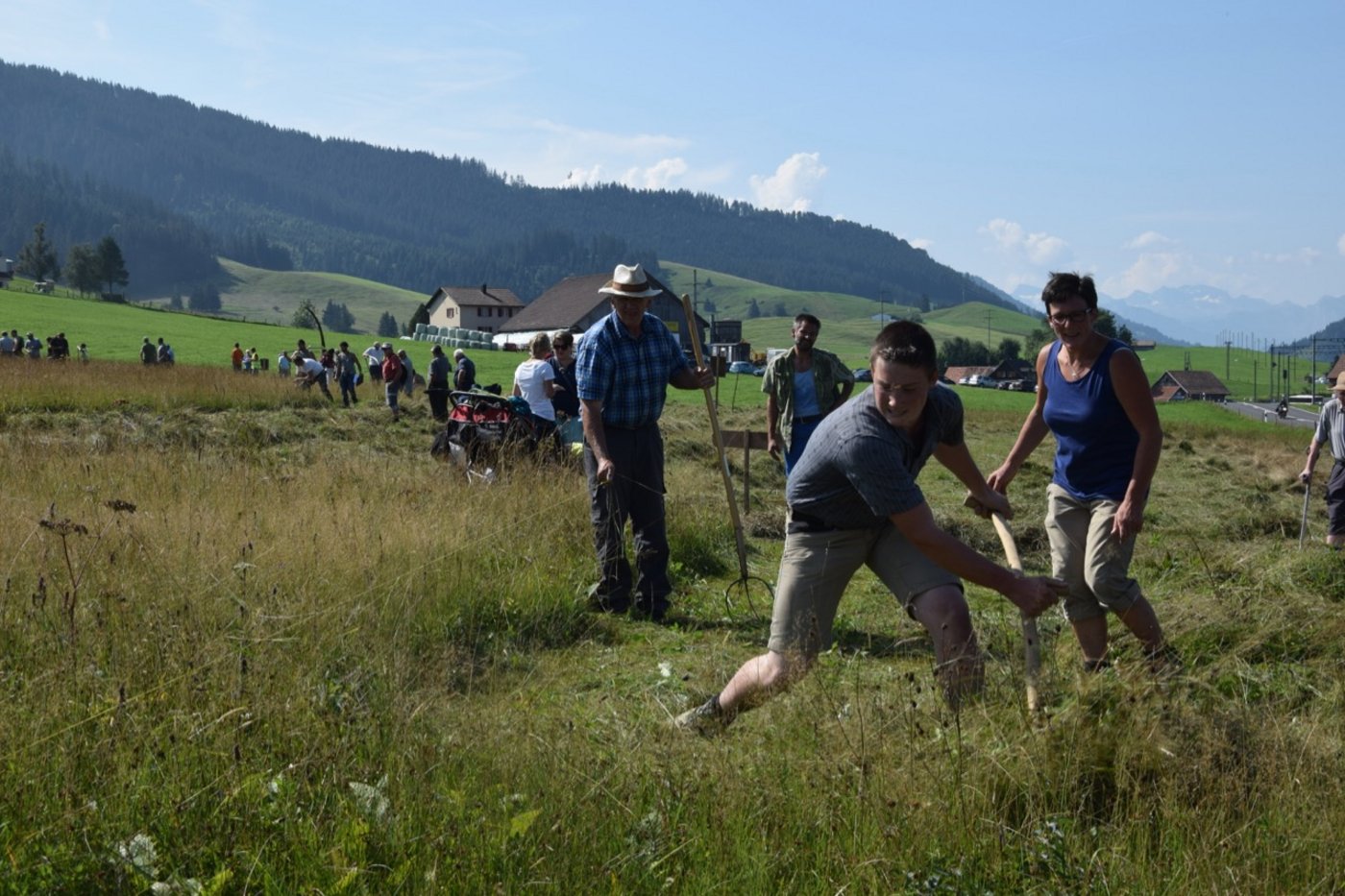Lorenz Wyssen gibt alles. Seine Mutter Dori betreut ihn im Feld. Der 16-Jährige Landwirtlehrling aus Ried bei Frutigen BE holte sich bei den Junioren den Schweizermeistertitel im Handmähen. (Bild jw)