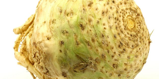 Eine durchaus würzige, poppige Knolle für Wintergerichte (Bild lid)