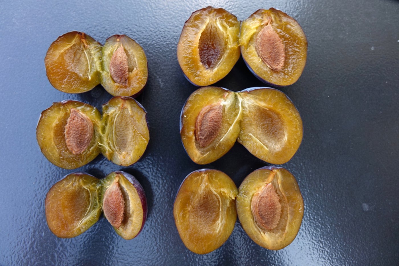 Hauszwetschgen-Typen offen . (Bild zVg)