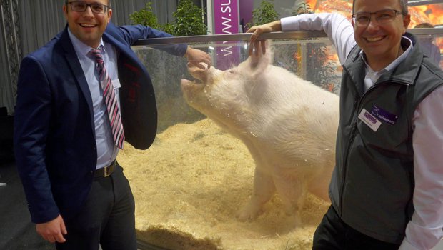 Gruppenbild mit Eber: Matteo Aepli (l.), Chef von Suisag und Adrian Schütz, jugendliches Suisseporcs-Urgestein. (Bild akr)