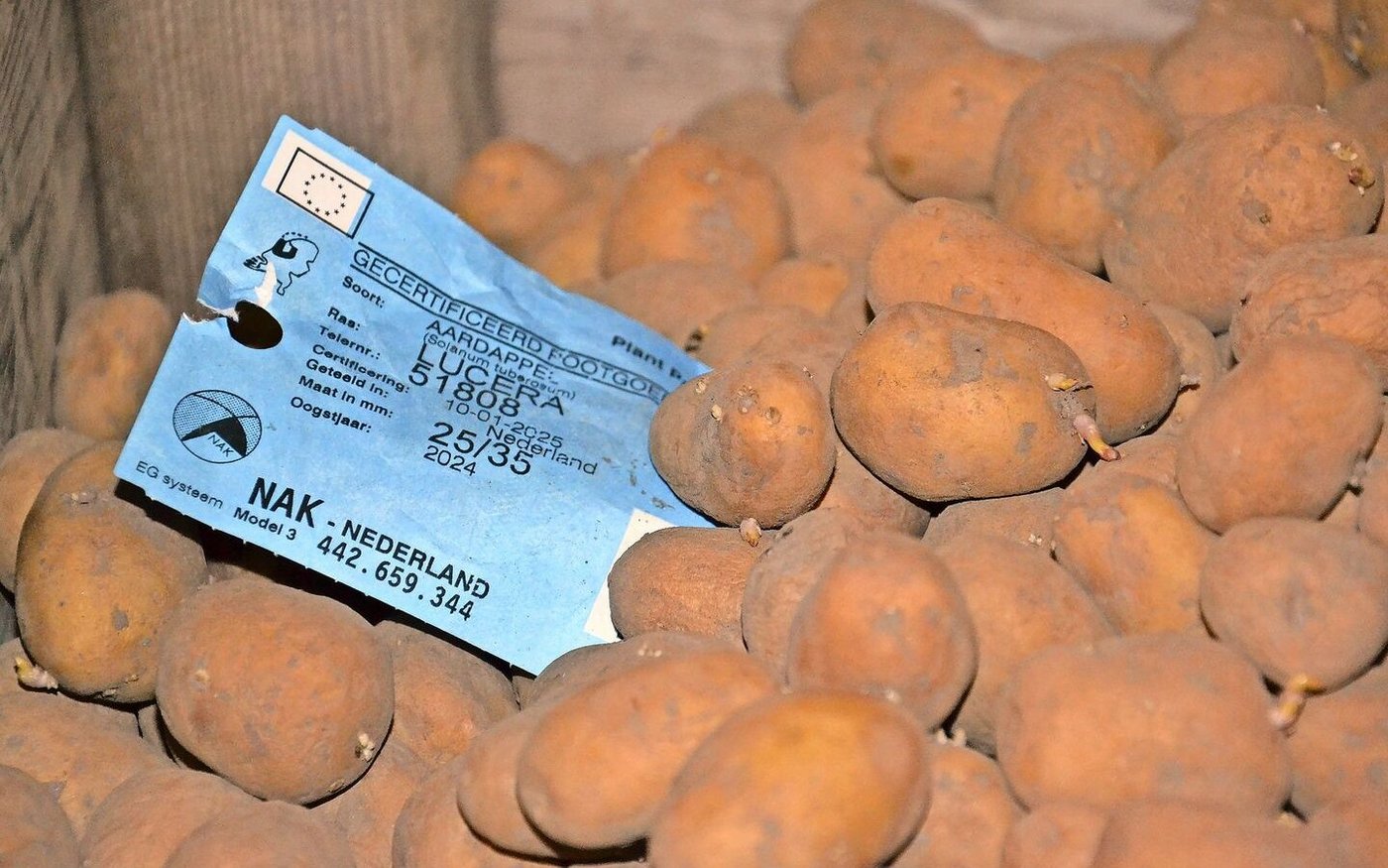 U.a. sortenbedingt werden Importe beim Pflanzgut immer wichtiger.  