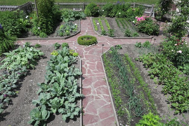 Garten: Nur so viel Gemüse pflanzen, wie man in der Küche braucht Beim Gärtnern soll es im Garten nicht nur wachsen und gedeihen, ... (Bild Esther Thalmann)